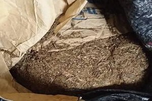 La gendarmerie de Koki Zemmal déjoue une tentative d’infiltration d’une cargaison de cannabis