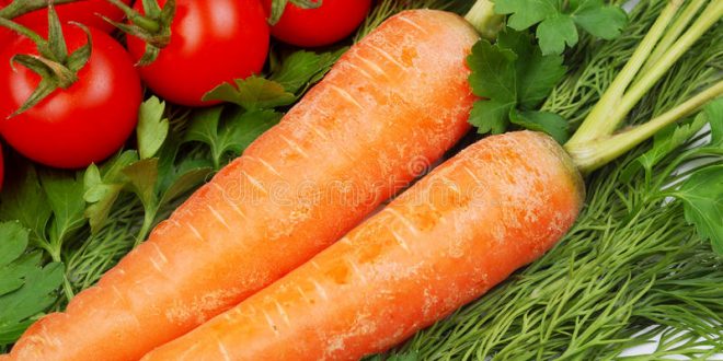 Mauritanie : les exportations de fruits et légumes marocains ralentissent