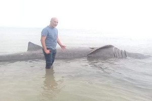 Mauritanie – Catastrophe biologique / Par Mohamed Nagi [Photoreportage]