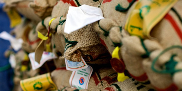 Céréales : des ONG s’alarment de la spéculation et de la réaction productiviste des autorités européennes