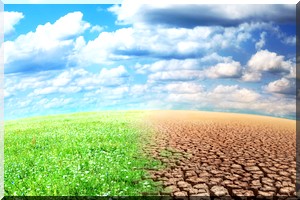 Environnement : Enjeux environnementaux et climatiques.