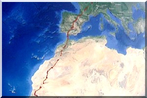 De la Bourgogne à la Mauritanie : comment vivent les cigognes noires et comment les protéger?