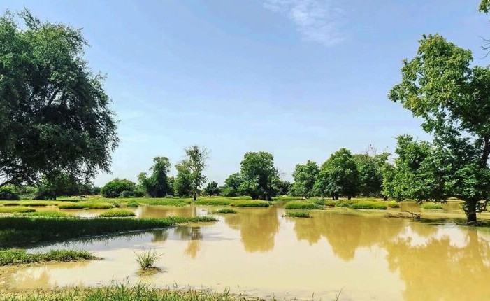 Bulletin d’urgence : décès d’un jeune homme et pertes matérielles dues aux pluies