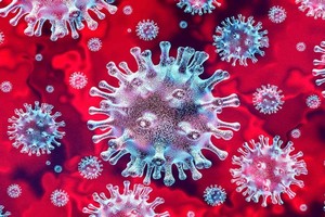 Coronavirus : ﻿Deuxième journée sans décès en Mauritanie
