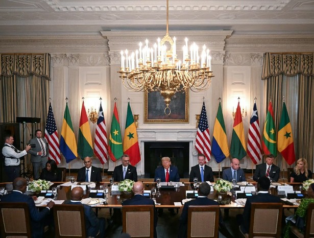 La Mauritanie propose ses minerais et ses terres rares à Donald Trump