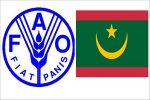 La Mauritanie et la FAO se mobilisent pour vaincre le criquet pèlerin