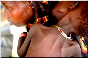 Crise au Sahel: 142 M Euro d'aide humanitaire débloqués par l'UE en 2014