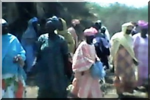 Dieuk-Rosso : Un projet de 30 hectares de culture maraichère complètement endommagé par l’Etat, les femmes du village appellent le Président Aziz à réagir