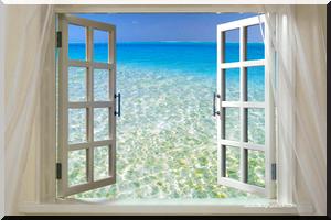 Fenêtre Sur : Multiplier les possibilités offertes aux jeunes