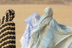 La Mauritanie privée d'une loi pour lutter contre les violences faites aux femmes