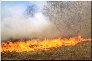  Campagne de prévention contre les feux de brousse