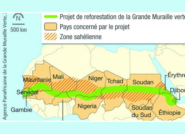 Grande Muraille Verte : Seule la Mauritanie à jour de ses cotisations, mais des lacunes dans la gestion nationale