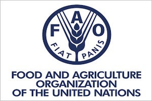 5000 hectares de terres dégradées seront réhabilitées par la FAO, en Mauritanie, au soudan et en Erythrée