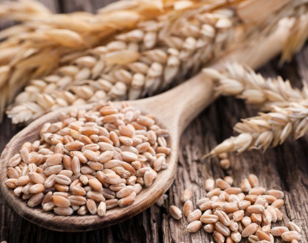 Insécurité alimentaire en Afrique de l'Ouest: «La guerre en Ukraine aggrave une situation déjà préoccupante»