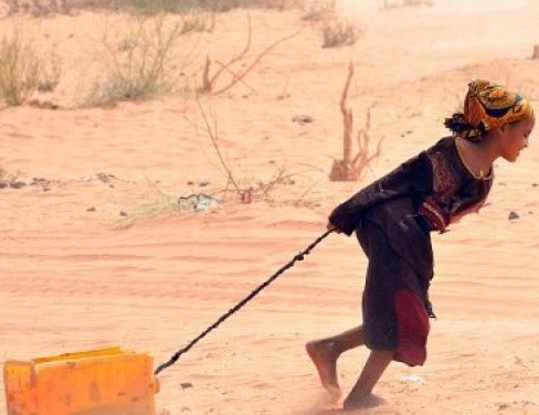 L’Iniquité fiscale en Mauritanie : d’un introuvable droit à une économie à retrouver. Par Pr ELY Mustapha