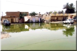 Les Nouakchottois gagnés par une fièvre indéterminée