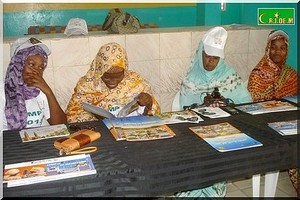 L'union des Femmes des médias de Mauritanie organise un Colloque sur le rôle des médias dans la lutte contre la violence à l'égard des femmes 