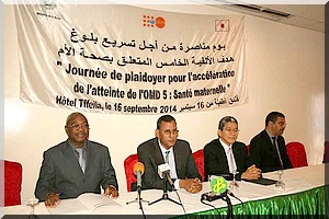 Journée de plaidoyer pour l'accélération de l'atteinte de l'OMD 5 en Mauritanie