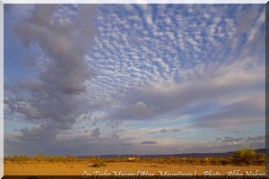 El Boukhary : En quête des larmes d’anges !