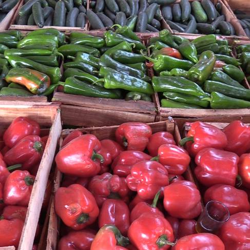 L’approvisionnement de la Mauritanie en légumes marocains pas totalement interrompu, les Pays-Bas en embuscade