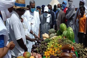 Nouakchott : Hausse des prix des fruits et légumes
