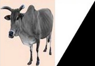 Dialogue national : l’AJD/MR refuse de participer à un processus jugé opaque