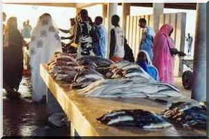 Projet de société nationale de distribution de poisson : L’Etat veut-il enlever le poisson des bouches des mareyeurs ?