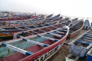 Grosse colère des pêcheurs artisanaux contre la direction du marché au poisson