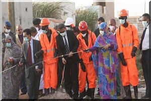 Mauritanie : prolifération sans précédent des insectes