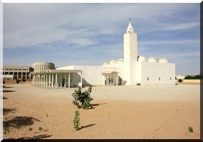 Les sociétés de transport réunissent 141 bus pour occuper la place Ibn Abass… 