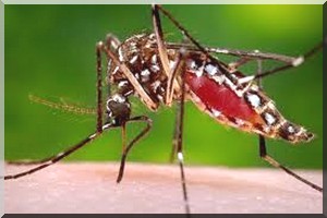 Sanofi: l'OMS recommande le vaccin contre la dengue