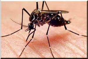 Lancement de la campagne nationale antipaludéenne 2015 à partir de la moughataa d'Aleg