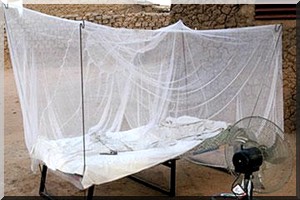 Paludisme: Nouakchott a besoin d' une couverture universelle en MILDA