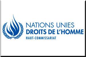 Déclaration du Haut-Commissaire des Nations Unies aux droits de l’homme Zeid Ra’ad Al Hussein : Journée internationale pour l’élimination de la discrimination raciale