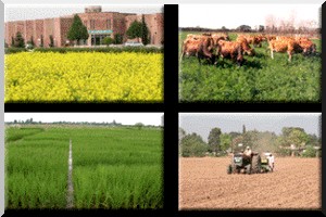 La Chine et la Mauritanie établiront un parc de l'industrie agricole sino-mauritanien