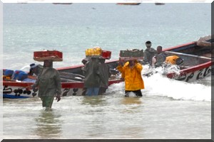 Reprise de la pêche artisanale après un mois de repos biologique