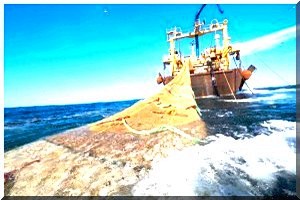 Mauritanie: Les gardes-côtes mauritaniens sans salaires depuis 6 mois 