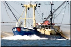 Pêche en Mauritanie : Nouadhibou, royaume de la gabegie