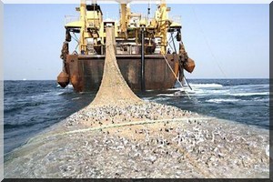  Avec des investissements, l’industrie maritime ouest-africaine pourrait générer 3,3 milliards de $ 