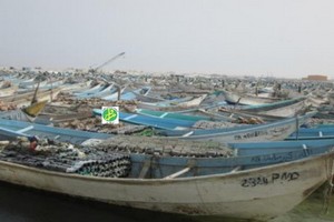 En l’absence de réaction : Les pêcheurs artisanaux en grève générale