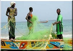 Nouakchott reconduit les 300 licences des pêcheurs sénégalais, selon Dakar. 