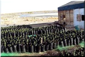 Festival des villes anciennes de Chinguetti : La DRA du MEDD prépare l’événement