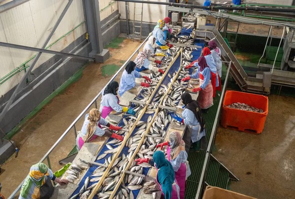 La Mauritanie face au pillage de ses eaux