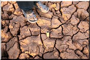 Des scientifiques israéliens trouvent une solution contre la famine