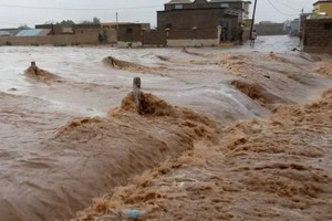 Deux blessés, 20 maisons en banco et des hangars détruits dans la commune de Raïdhie