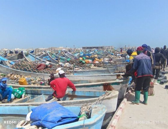 Les activités de pêche artisanale ont repris au niveau de l’EPBR après un arrêt de deux mois