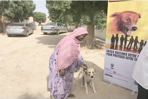 L’Ordre National des Docteurs Vétérinaires célèbre la journée mondiale contre la rage  [PhotoReportage]