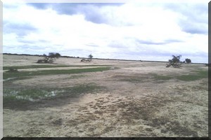 Rosso -Rgheiwatte: Les villageois s’opposent à la vente et l’exploitation de 10ha de terres cultivables [PhotoReportage]