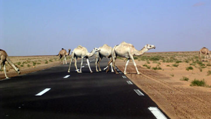 Mauritanie: coup d'envoi des partenariats public-privé de grands travaux avec l'autoroute Nouakchott-Boutilimit