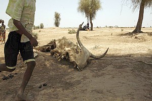 Sommet régional en Gambie sur la sécurité alimentaire en Afrique de l’Ouest